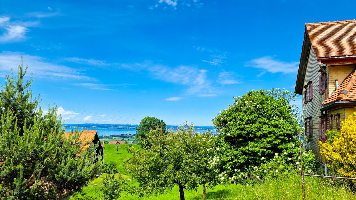 Grundstück-für-Einfamilienhaus